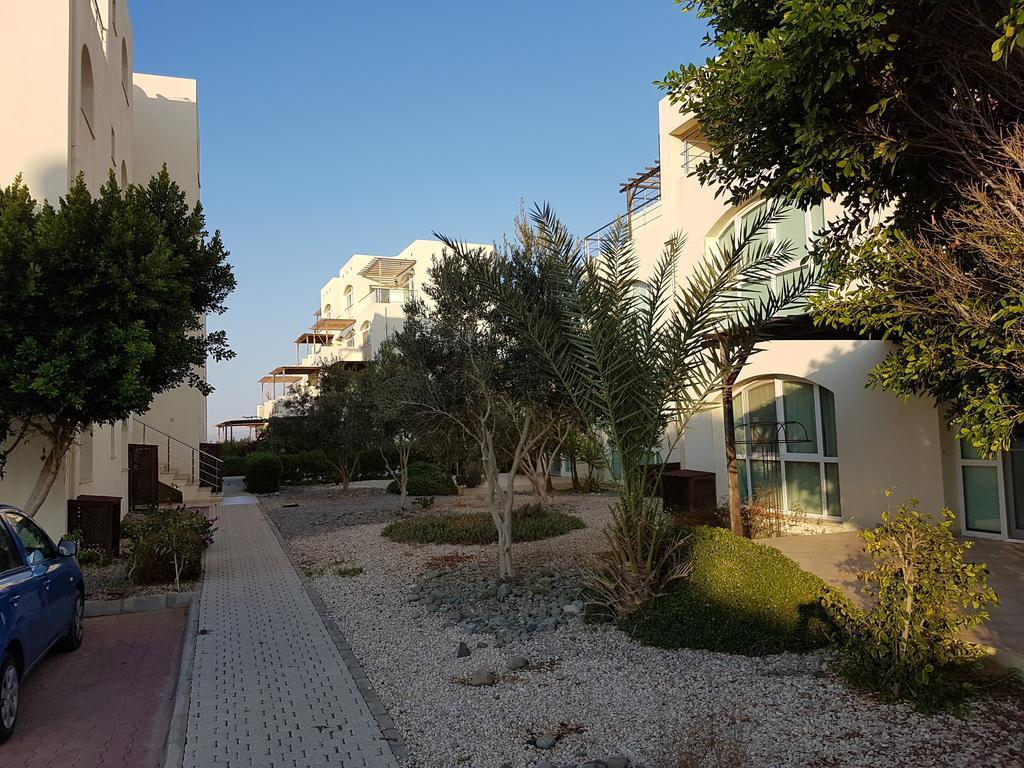 Aphrodite Beachfront Penthouse Apartment Ghaziveran Ngoại thất bức ảnh